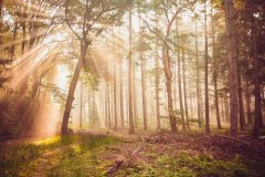 调整音响阵列的角度与功率