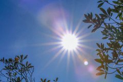 在统一的应援口号中